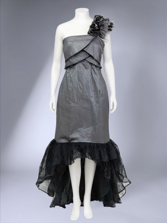 Snap Dresses & Skirts - Snap A-Line Metallic Floral One-Shoulder Asymmetrical Tulle Maxi Dress